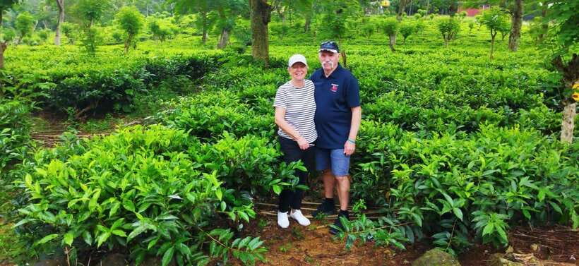 Ceylon Tea Experience from Colombo Port Passenger Terminal - Quick points to know before booking