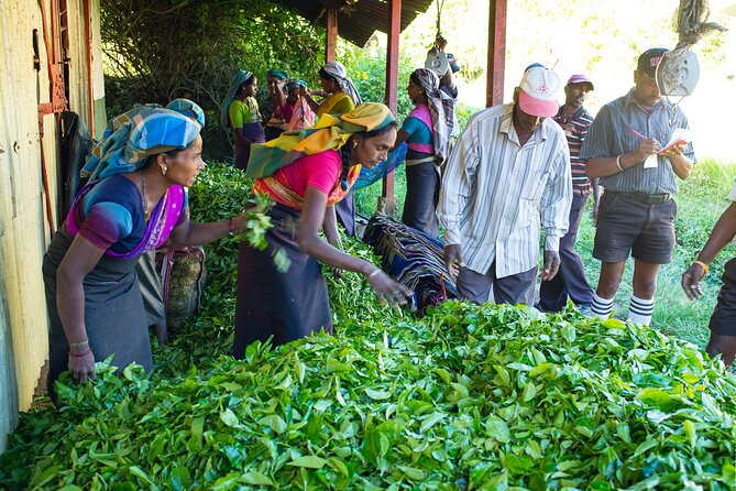 Ceylon Tea Experience Start from Colombo Port Passenger Terminal - Seema Malakaya Temple on Beira Lake