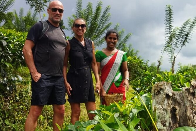 Ceylon Tea Experience Start from Colombo Port Passenger Terminal - Colombo’s Murugan Temple