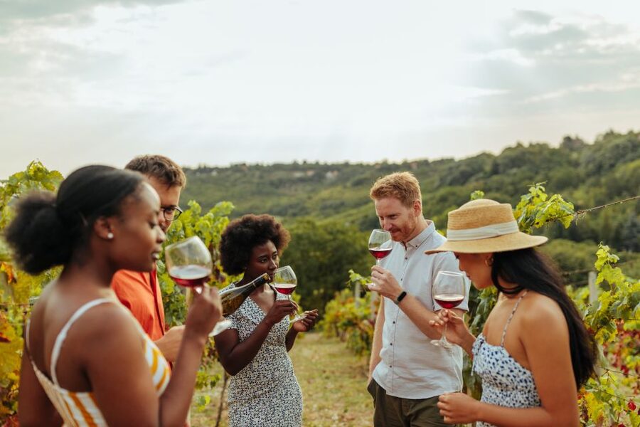 Charleston: Wadmalaw Island Wine Tasting and Tea Garden Trip - Angel Oak Park and a giant living landmark
