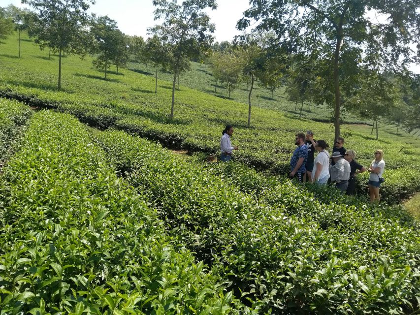 Coffee - Wine - Tea Da Lat's Agricultural Treasures Tour - Da Lat Railway Station and a flexible final stop