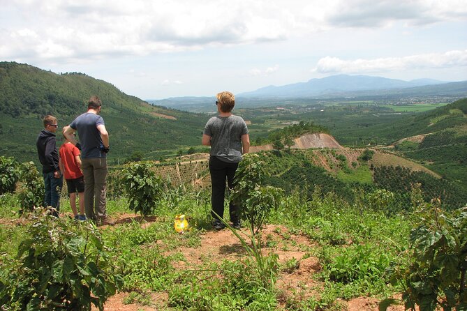 Coffee - Wine - Tea: Dalat Treasures tour - A look inside Da Lat Winery
