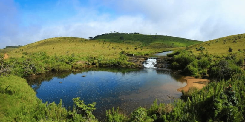 Comprehensive Excursion: Horton Plains and Pedro Tea Factory - Why Horton Plains is worth an early start