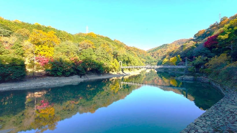 Cycling Tour at Uji's Matcha Green Tea Fields and Heritage - Key points to know before you book
