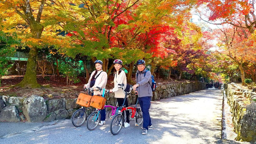 Cycling Tour at Uji's Matcha Green Tea Fields and Heritage - Chazuna introduces Uji’s tea culture