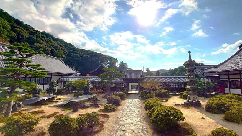 Cycling Tour at Uji's Matcha Green Tea Fields and Heritage - Who will enjoy this Uji ride most
