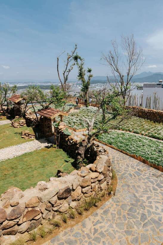 Da Lat: Sunrise Panorama, Green Tea Hill and Strawberry Farm - Should you book the Cau Dat morning tour?