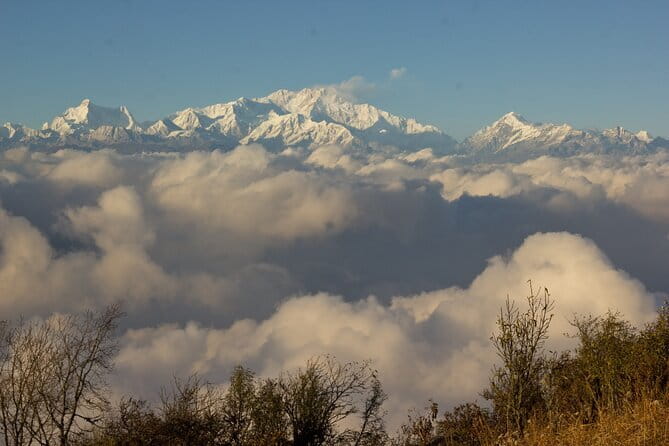 Darjeeling Himalayan Tea Tour - Day 6: Kurseong and historic Makaibari
