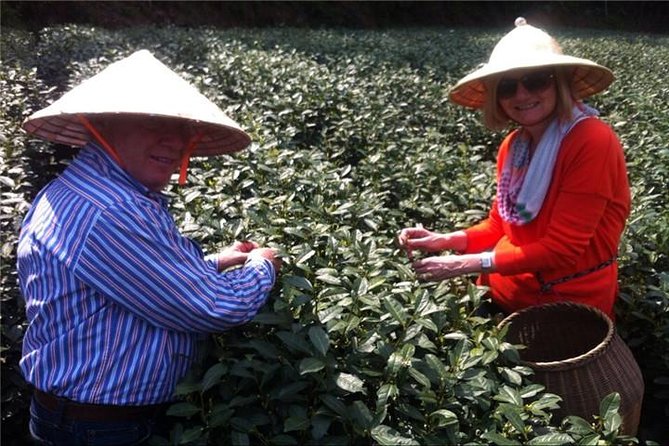 Day Tour to Discover the Secrets of Hangzhou's Tea Culture - The China National Tea Museum gives the day substance