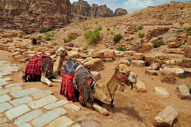 Desert Sunset Camel Ride With Free Tea in The Desert Camp - Is $234.91 a fair price?