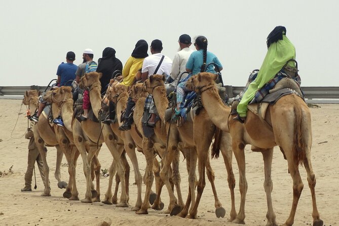 Desert Sunset Camel Ride With Free Tea in The Desert Camp - What the strongest feedback tells you