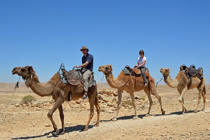 Desert Sunset Camel Ride With Free Tea in The Desert Camp - Who will enjoy this evening most?