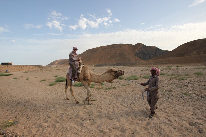 Desert Sunset Camel Ride With Free Tea in The Desert Camp - Practical booking advice for this Marrakech outing