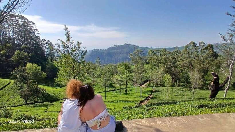 Ella: 9 Arches Bridge, Little Adam's Peak, Tea Factory - Should you book the Ella tour?