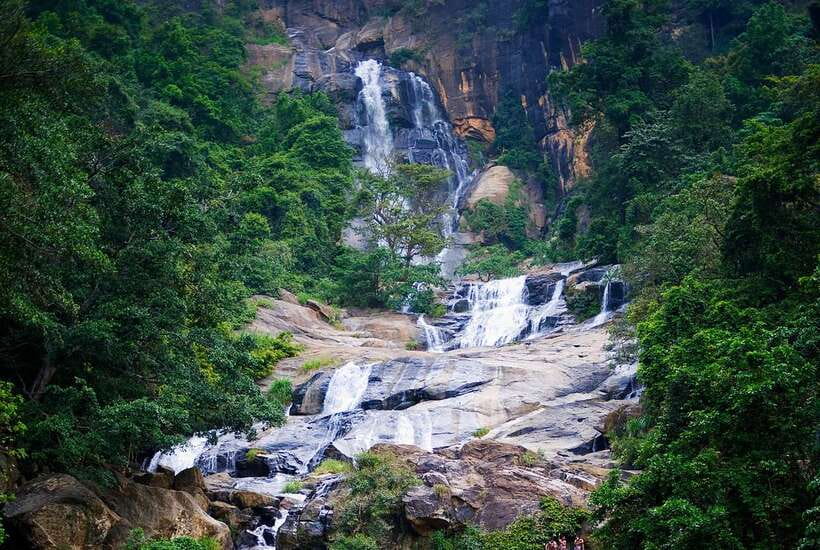 Ella Day Tour with Scenic Train Ride & Tea Plantation Visit - Tea plantation visit and a taste of Ceylon tea