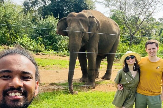 Ella Day Trip with Train Ride Waterfalls and Tea Factory Tour - Key points to know before booking