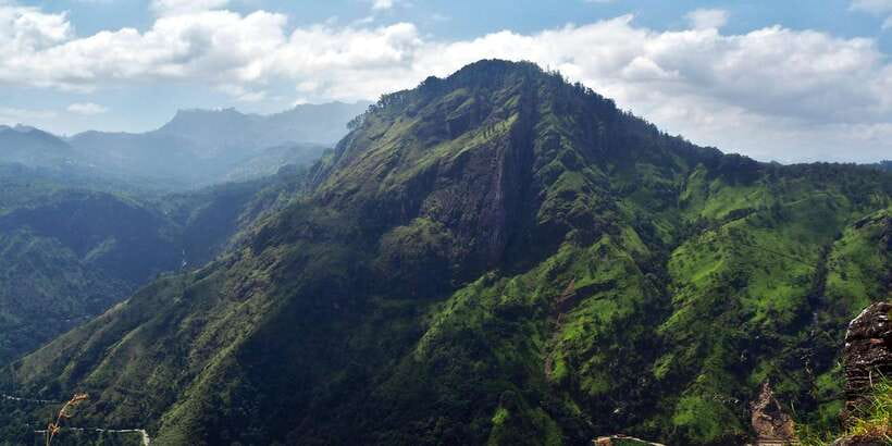 Ella: Tea Factory, Train, and Nine Arch Day Tour with Pickup - The 25-minute train ride is scenic but not guaranteed