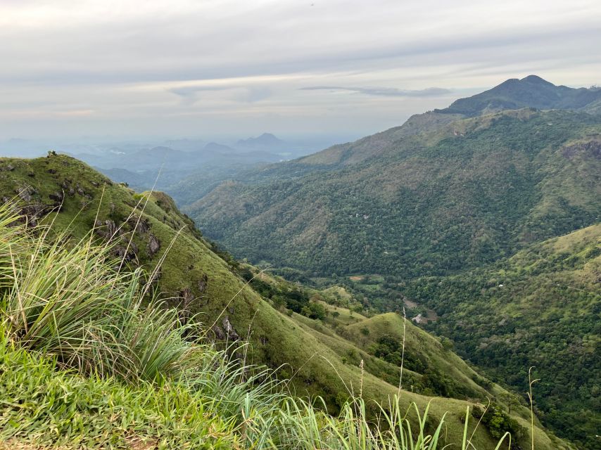 Ella: Tea Factory, Train, and Nine Arch Day Tour with Pickup - The Flying Ravana Mega Zipline is an optional burst of excitement