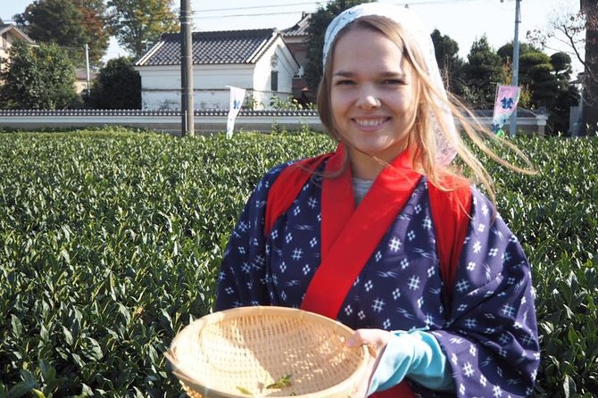 Experience Seasonal Green Tea Picking in Sayama and Nostalgic Walk in Kawagoe! - How the private guide changes the day