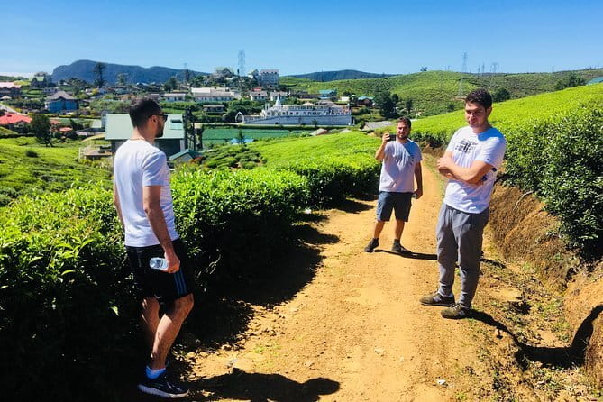 Explore Nuwara Eliya - Waterfall & Tea Factory Tour - Key points to know before booking
