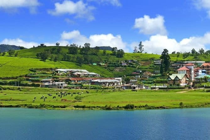 Explore Nuwara Eliya - Waterfall & Tea Factory Tour - Gregory Lake: a calm start in the town center