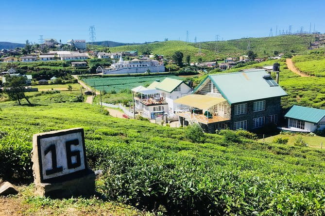 Explore Nuwara Eliya - Waterfall & Tea Factory Tour - Single Tree Hill for the wide view
