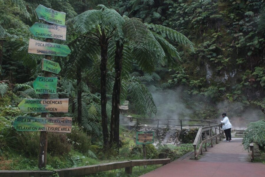 Fire Lake & Tea Factory & Pinneaple - Santa Bárbara beach and Ribeira Grande
