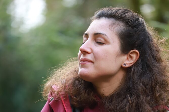 Forest Bathing in Tuscany with Wild Crafted Tea - Key points at a glance