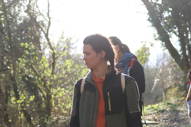 Forest Bathing in Tuscany with Wild Crafted Tea - Tea, snacks, and time to reflect