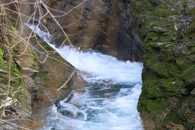 Forest Bathing in Tuscany with Wild Crafted Tea - What the $69.81 price covers