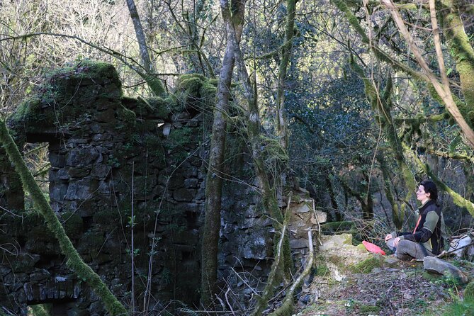 Forest Bathing in Tuscany with Wild Crafted Tea - Who will enjoy this most