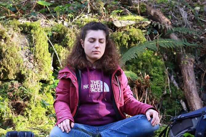 Forest Bathing in Tuscany with Wild Crafted Tea - Weather, timing, and what to bring
