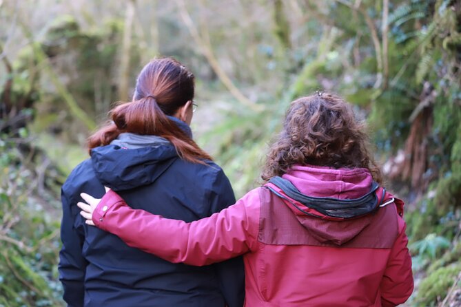 Forest Bathing in Tuscany with Wild Crafted Tea - Sensory exercises beneath the trees