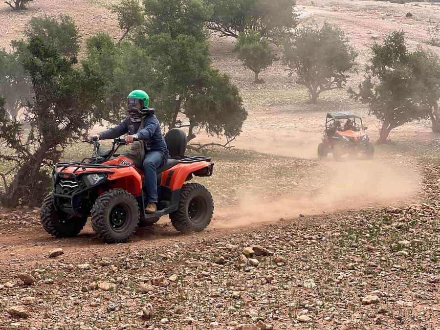 From Agadir/Taghazout: Buggy Safari Adventure & Moroccan Tea - The goats in the argan trees