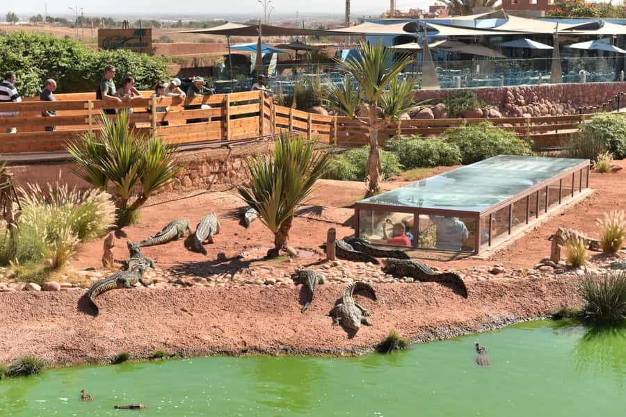From Agadir/Taghazout: Buggy Safari Adventure & Moroccan Tea - Getting comfortable before the ride