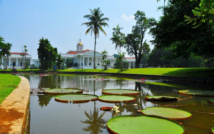 From Bandung: Tea Plantation and Botanical Garden Tour - Walking through Puncak’s tea plantations
