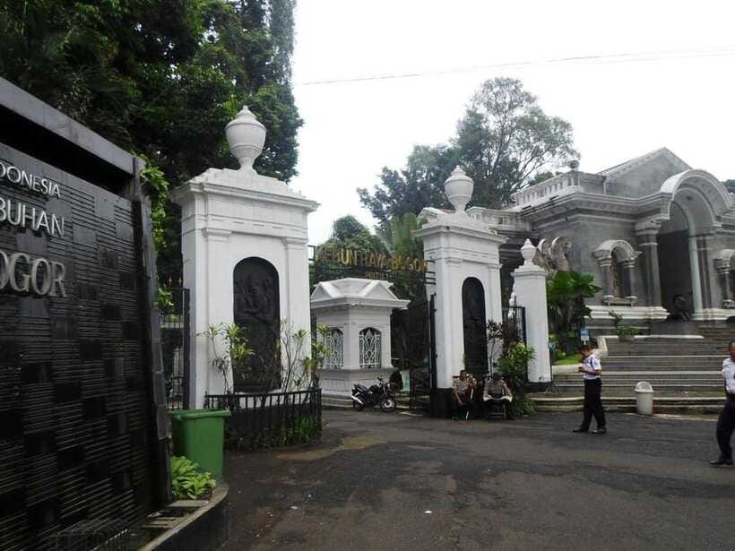 From Bandung: Tea Plantation and Botanical Garden Tour - Who will get the most from this day