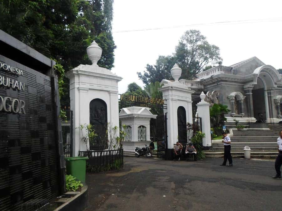 From Bandung: Tea Plantation and Botanical Garden Tour - Leaving Bandung at 6 AM