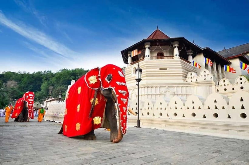 From Colombo: Kandy, Pinnawala and Tea Factory Full-Day Trip - Spice garden, lunch, and Kandy views