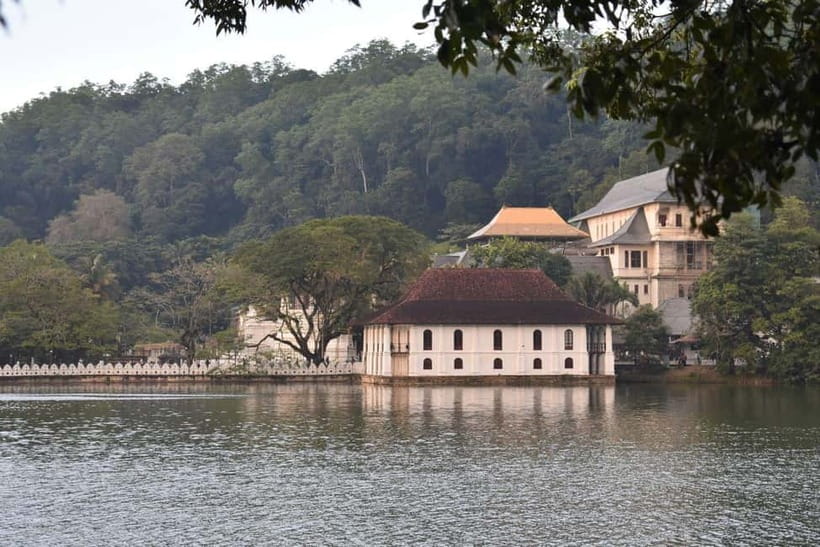 From Colombo: Kandy, Pinnawala and Tea Factory Full-Day Trip - Gamini Gems and the road toward tea country