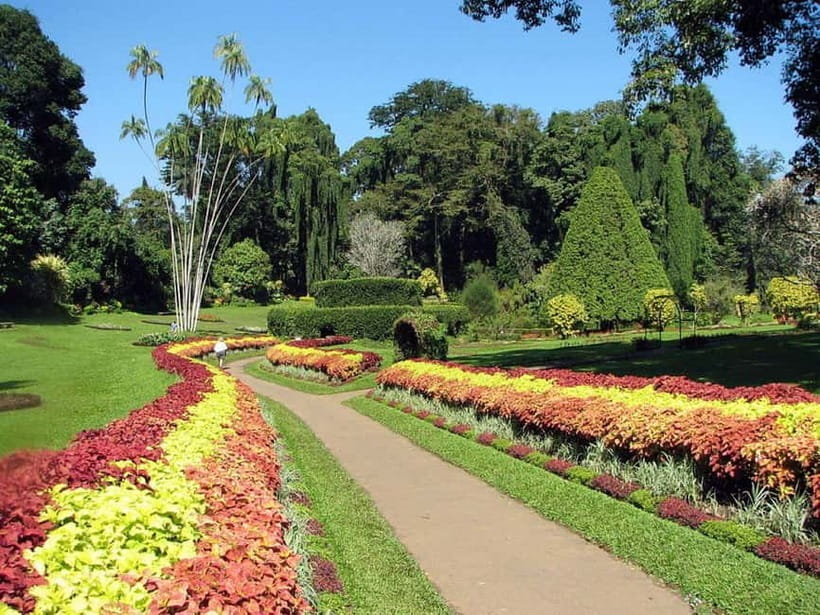 From Colombo: Kandy, Pinnawala and Tea Factory Full-Day Trip - Who should book this day trip?