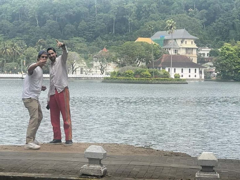 From Colombo: Kandy, Pinnawala and Tea Factory Full-Day Trip - Choosing between Pinnawala’s elephant visits