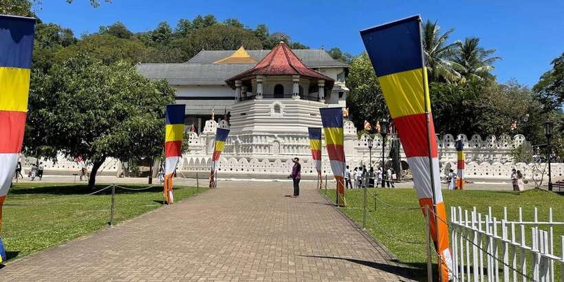 From Colombo: Kandy & Pinnawala & Tea Factory Full Day Trip - Pinnawala and the Millennium Elephant Foundation