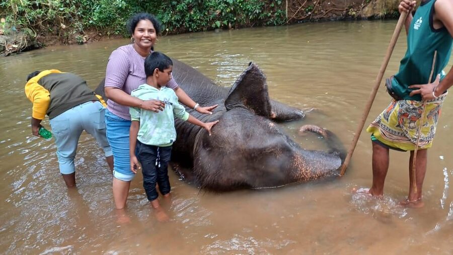 From Colombo: Kandy & Pinnawala & Tea Factory Full Day Trip - Kandy’s craft and shopping stops