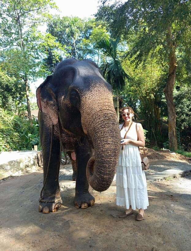 From Colombo or Negombo: Pinnawala, Kandy & Tea Factory Tour - Key points to know before booking