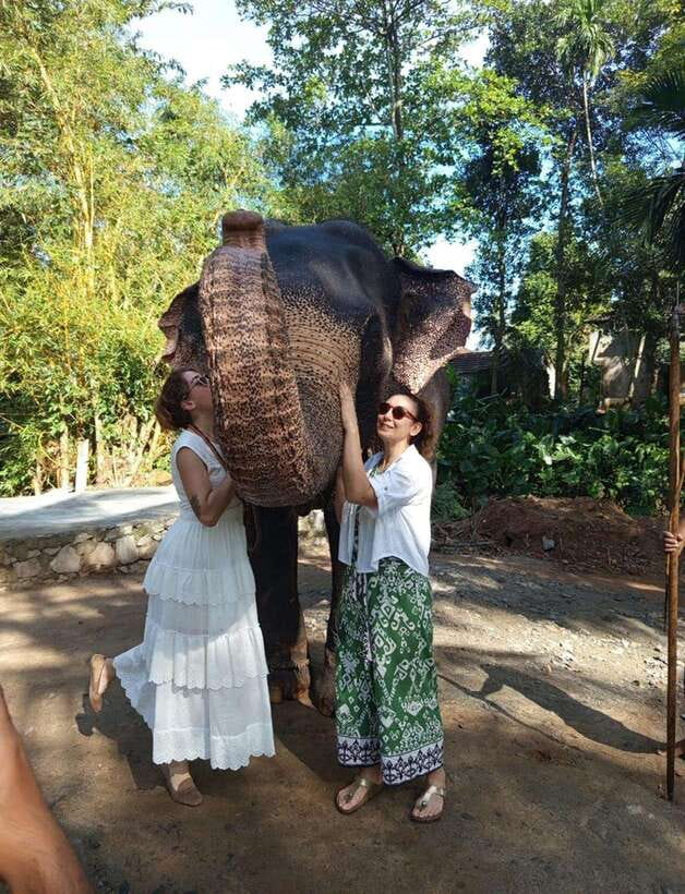From Colombo or Negombo: Pinnawala, Kandy & Tea Factory Tour - Kandy’s sacred temple and hilltop views