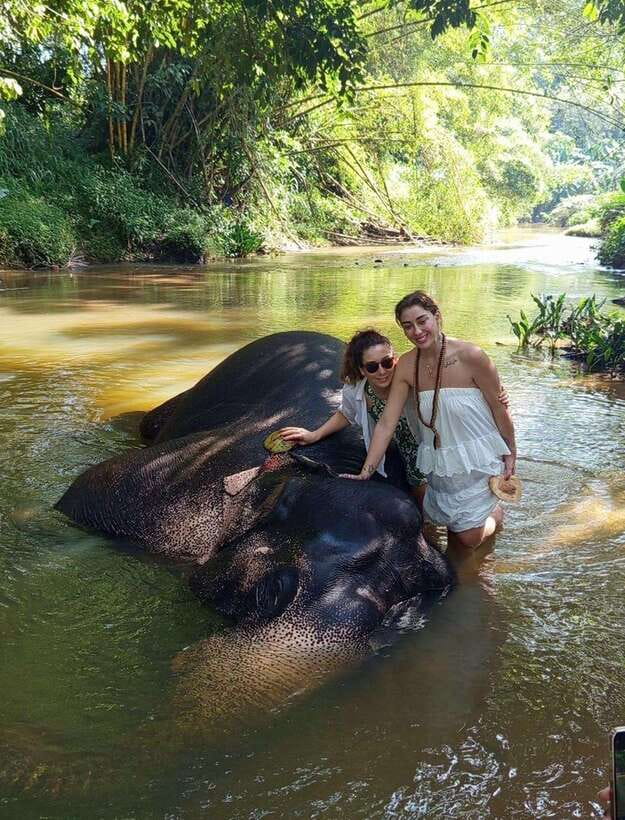 From Colombo or Negombo: Pinnawala, Kandy & Tea Factory Tour - Lunch with a Kandy view