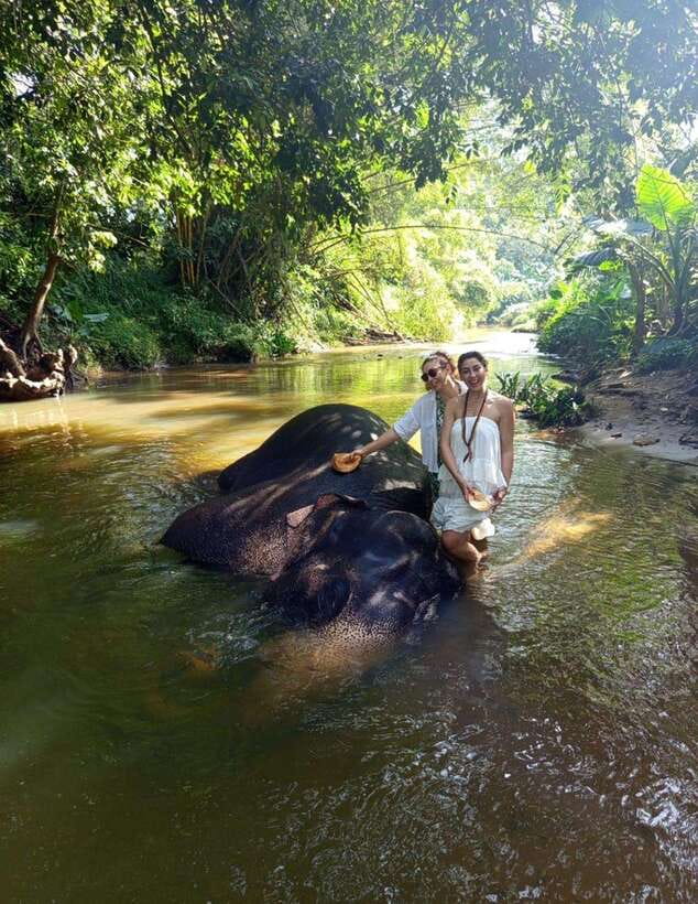 From Colombo or Negombo: Pinnawala, Kandy & Tea Factory Tour - Spice, gem, wood-carving, and batik workshops