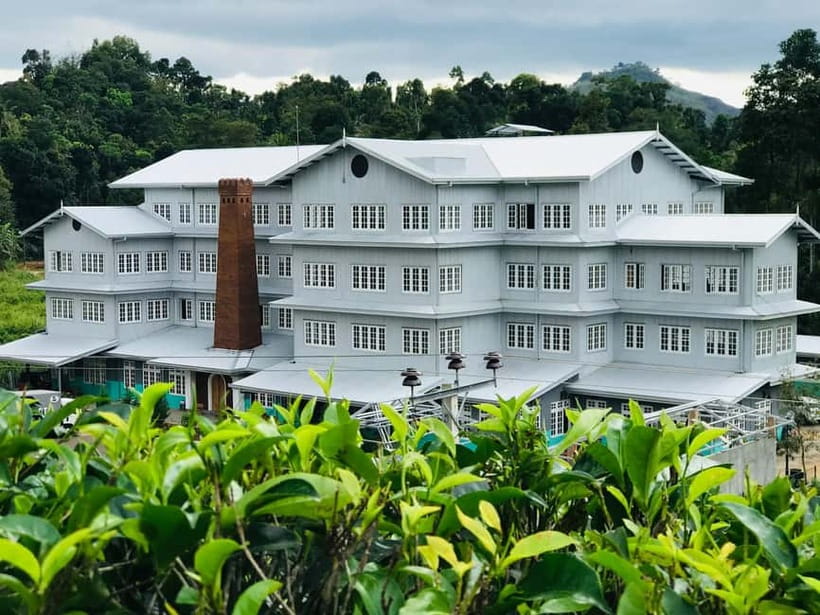 From Colombo: Pinnawala & Tea factory with Kandy Hotel Drop - Comfort, timing, and what to pack