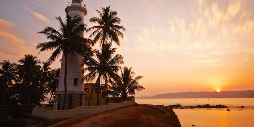 From Colombo: Virgin White Tea and Galle City Tour - Handunugoda Tea Estate and the no-touch tea method